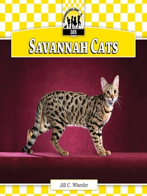cover image of Savannah Cats